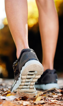 Fisioterapia Desportiva
